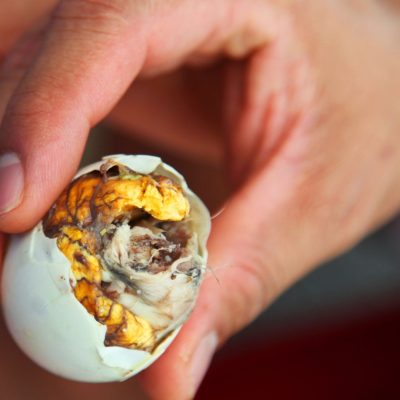 Balut: Exploring the Unique Delicacy of the Philippines