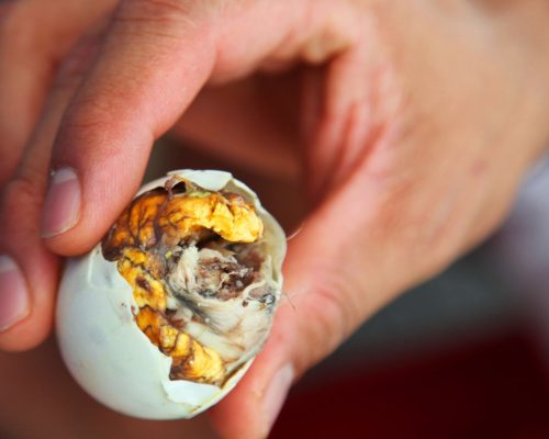 Balut: Exploring the Unique Delicacy of the Philippines