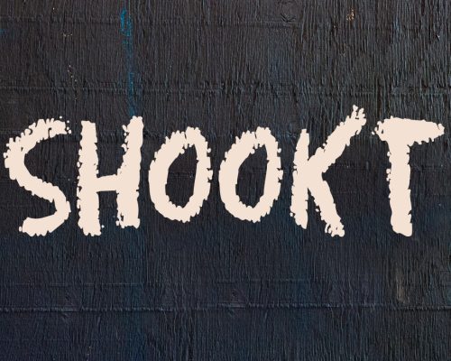 Shookt - a word used to describe a feeling of shock, stun or anything that is unexpected.